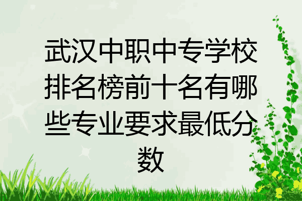 武汉中职中专学校排名榜前十名有哪些专业要求最低分数