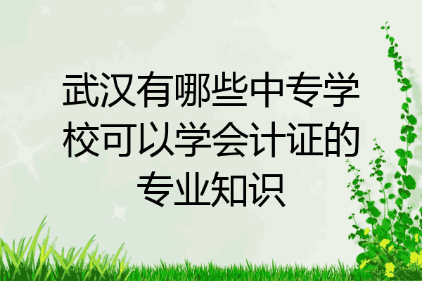 武汉有哪些中专学校可以学会计证的专业知识