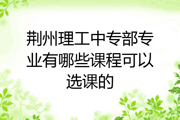 荆州理工中专部专业有哪些课程可以选课的