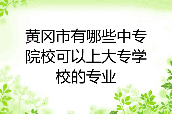 黄冈市有哪些中专院校可以上大专学校的专业