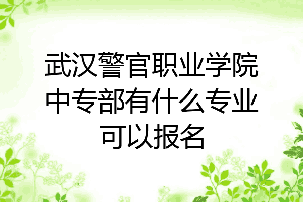 武汉警官职业学院中专部有什么专业可以报名