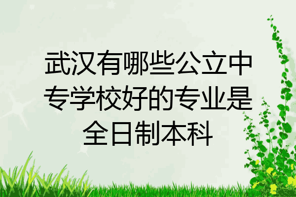 武汉有哪些公立中专学校好的专业是全日制本科
