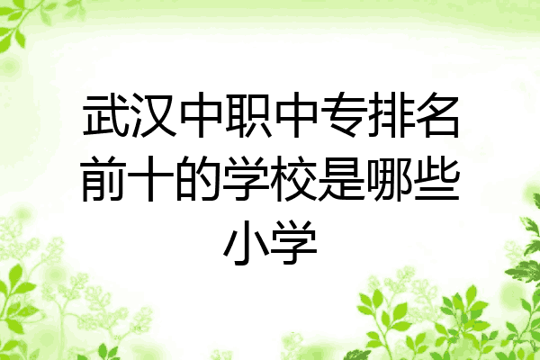 武汉中职中专排名前十的学校是哪些小学