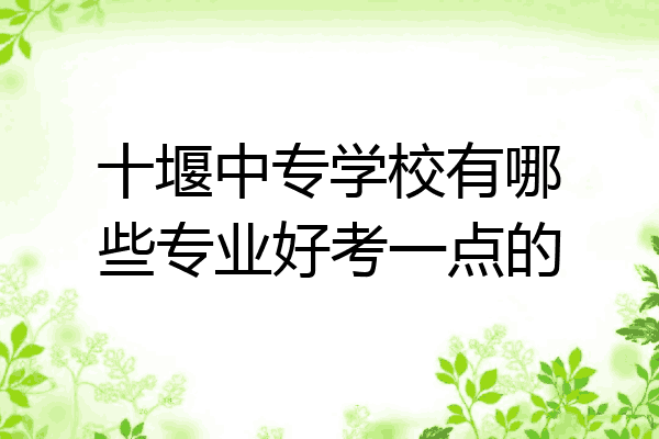 十堰中专学校有哪些专业好考一点的