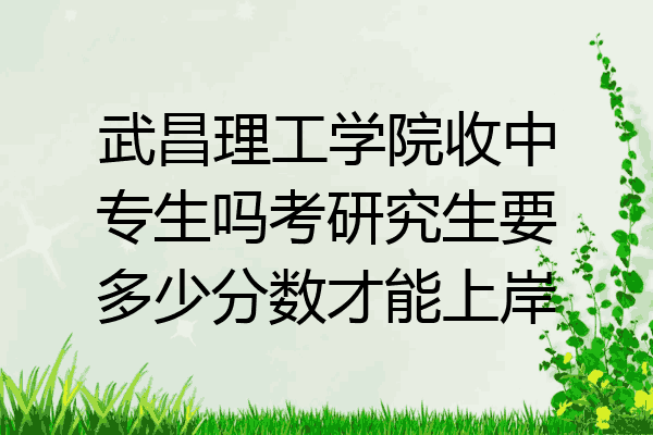 武昌理工学院收中专生吗考研究生要多少分数才能上岸
