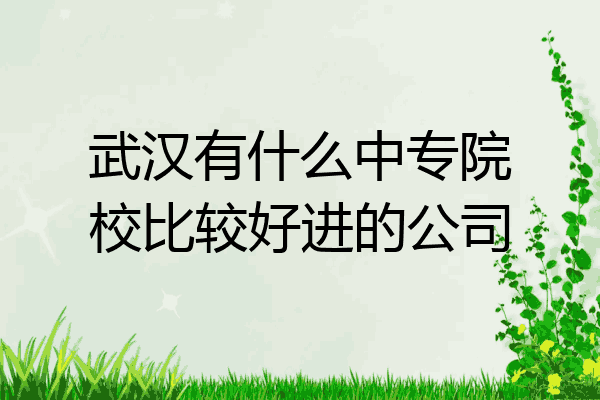 武汉有什么中专院校比较好进的公司