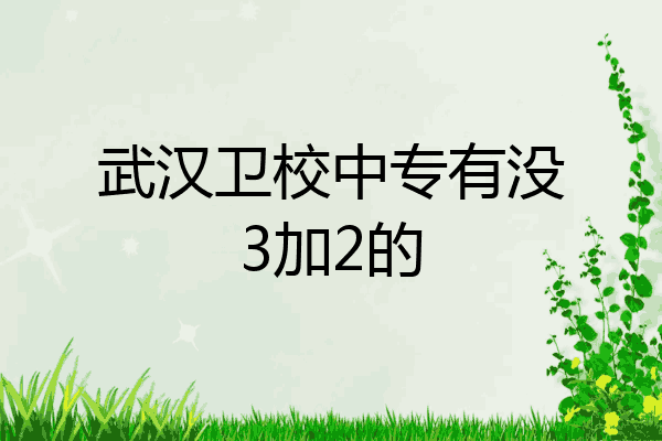 武汉卫校中专有没3加2的