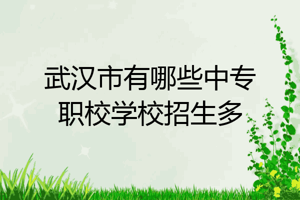 武汉市有哪些中专职校学校招生多