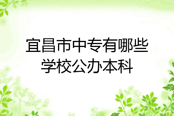 宜昌市中专有哪些学校公办本科