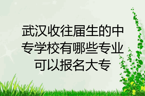 武汉收往届生的中专学校有哪些专业可以报名大专
