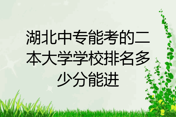 湖北中专能考的二本大学学校排名多少分能进