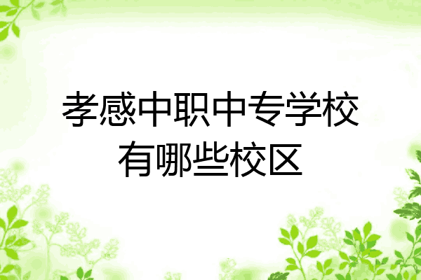 孝感中职中专学校有哪些校区