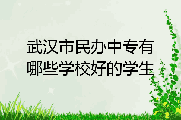 武汉市民办中专有哪些学校好的学生