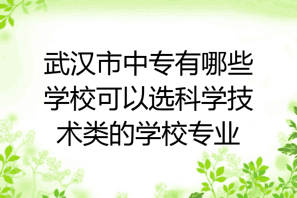 武汉市中专有哪些学校可以选科学技术类的学校专业