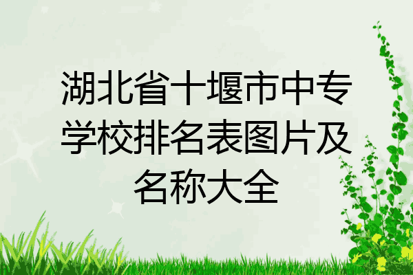 湖北省十堰市中专学校排名表图片及名称大全