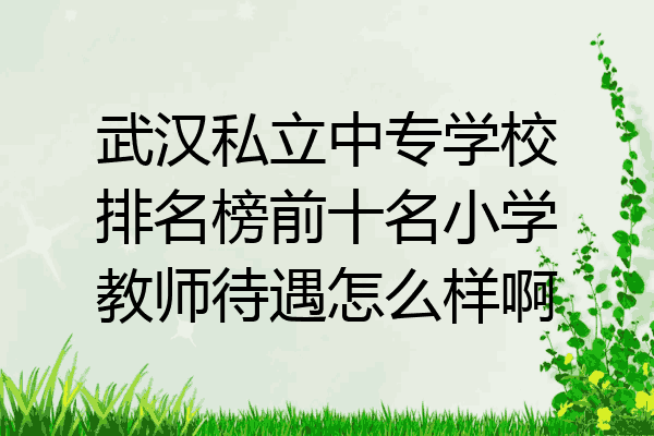 武汉私立中专学校排名榜前十名小学教师待遇怎么样啊