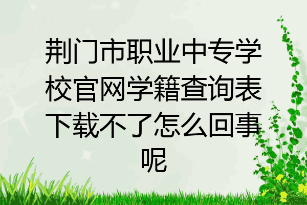 荆门市职业中专学校官网学籍查询表下载不了怎么回事呢