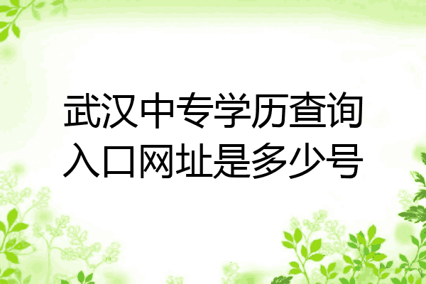 武汉中专学历查询入口网址是多少号