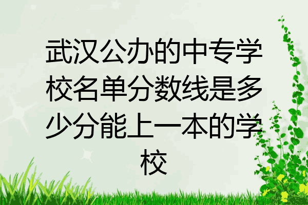 武汉公办的中专学校名单分数线是多少分能上一本的学校