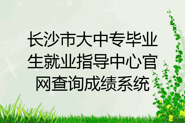 长沙市大中专毕业生就业指导中心官网查询成绩系统