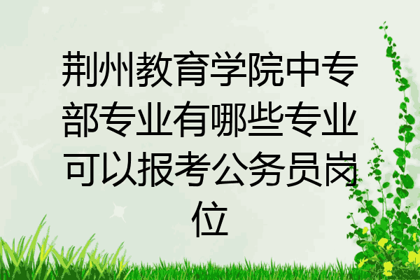 荆州教育学院中专部专业有哪些专业可以报考公务员岗位