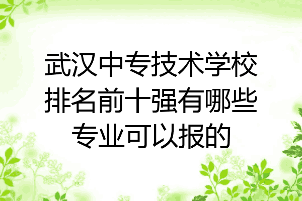 武汉中专技术学校排名前十强有哪些专业可以报的