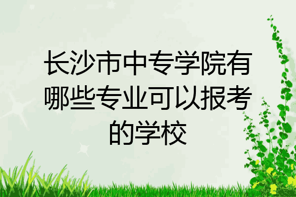 长沙市中专学院有哪些专业可以报考的学校