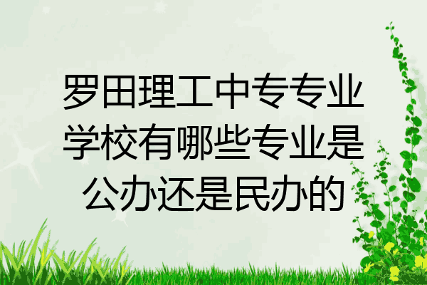 罗田理工中专专业学校有哪些专业是公办还是民办的