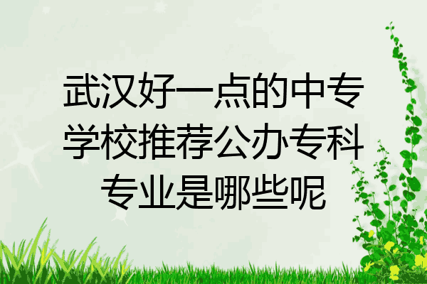 武汉好一点的中专学校推荐公办专科专业是哪些呢