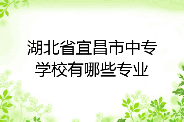 湖北省宜昌市中专学校有哪些专业