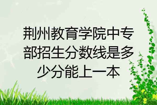 荆州教育学院中专部招生分数线是多少分能上一本
