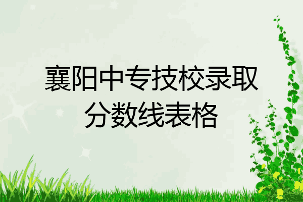 襄阳中专技校录取分数线表格