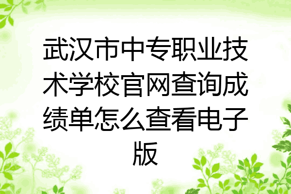 武汉市中专职业技术学校官网查询成绩单怎么查看电子版