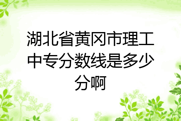 湖北省黄冈市理工中专分数线是多少分啊