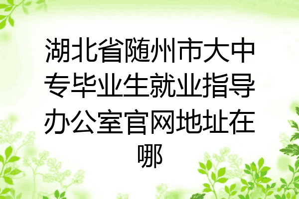 湖北省随州市大中专毕业生就业指导办公室官网地址在哪
