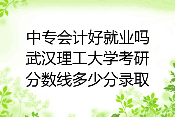 中专会计好就业吗武汉理工大学考研分数线多少分录取