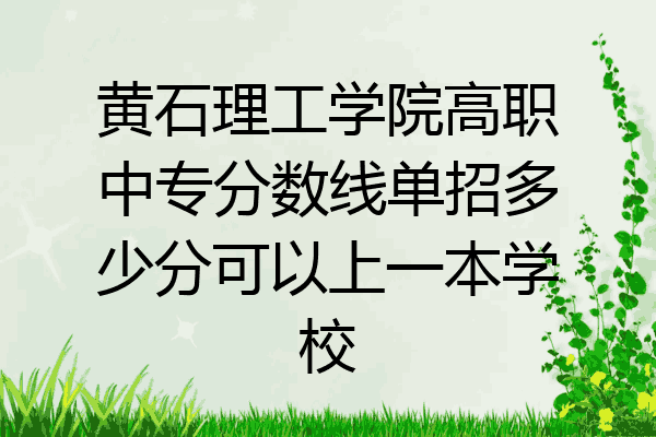 黄石理工学院高职中专分数线单招多少分可以上一本学校