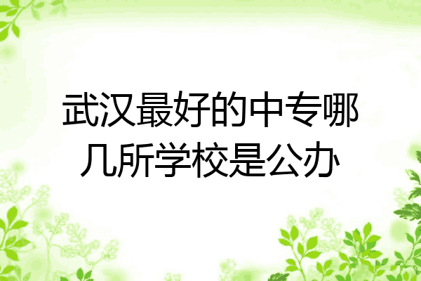 武汉最好的中专哪几所学校是公办