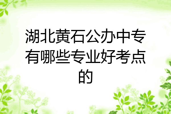湖北黄石公办中专有哪些专业好考点的