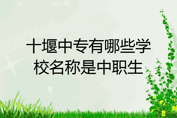 十堰中专有哪些学校名称是中职生