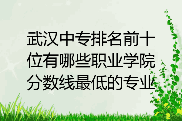 武汉中专排名前十位有哪些职业学院分数线最低的专业