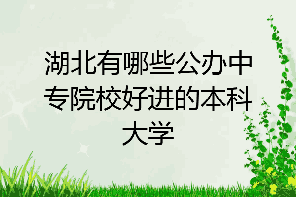 湖北有哪些公办中专院校好进的本科大学
