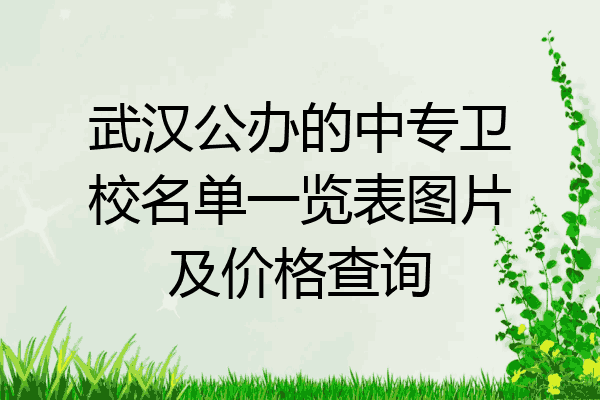 武汉公办的中专卫校名单一览表图片及价格查询