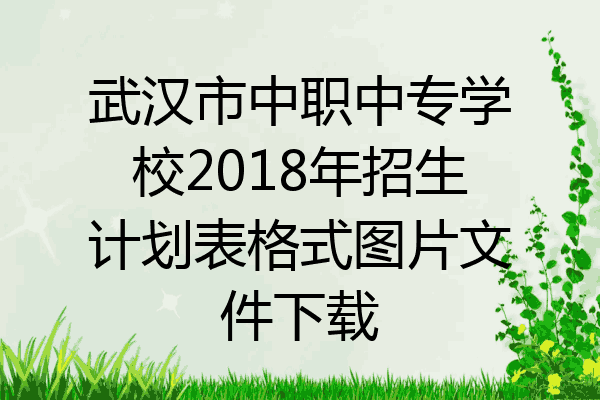 武汉市中职中专学校2018年招生计划表格式图片文件下载