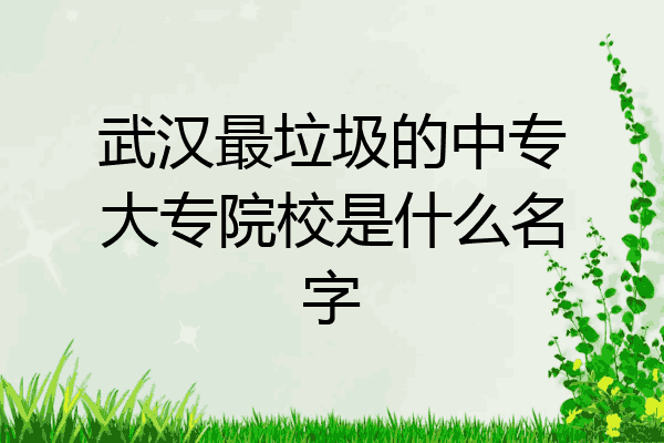武汉最垃圾的中专大专院校是什么名字