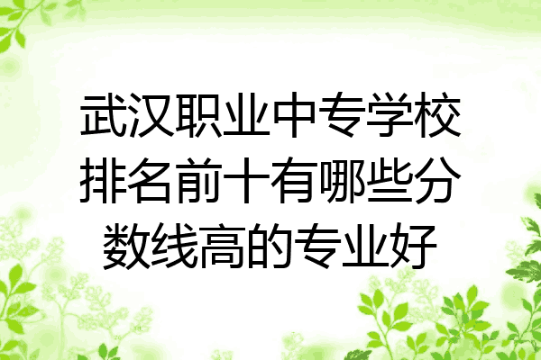 武汉职业中专学校排名前十有哪些分数线高的专业好