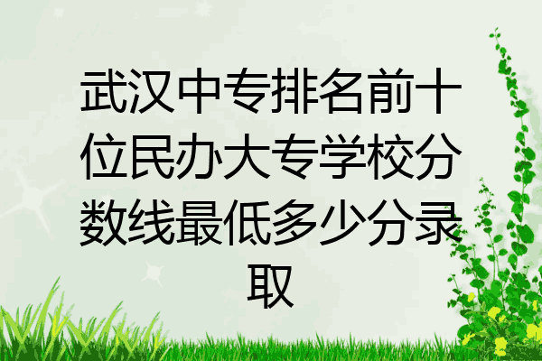 武汉中专排名前十位民办大专学校分数线最低多少分录取