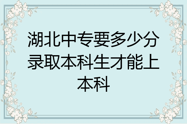 湖北中专要多少分录取本科生才能上本科