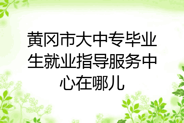 黄冈市大中专毕业生就业指导服务中心在哪儿