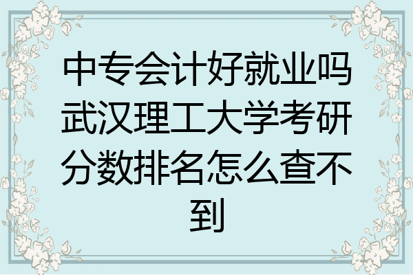 中专会计好就业吗武汉理工大学考研分数排名怎么查不到
